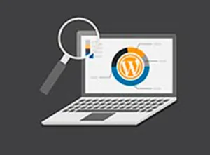 wordpress carga lento, descubre las razones y motivos